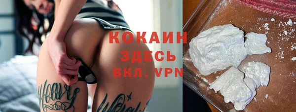 твердый Алзамай