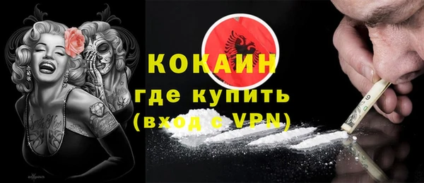 твердый Алзамай
