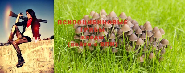 герыч Абинск