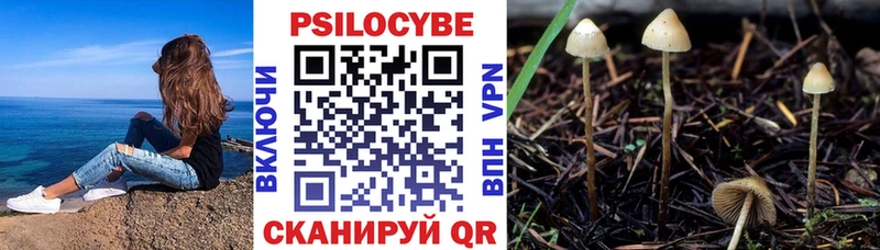 купить  сайты  MEGA ONION  Галлюциногенные грибы прущие грибы  Монино 